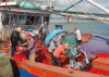Bốc dỡ thủy sản khai thác tại cảng cá Cửa Việt