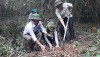 Lễ phát động: Trồng cây hưởng ứng chương trình trồng mới 1 tỷ cây xanh theo sáng kiến CỦA Thủ tướng Chính phủ”
