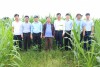 Ông Hoàng Văn Hồng   Phó Giám đốc Trung tâm Khuyến nông Quốc Gia đánh giá cao những hoạt động của Trung tâm khuyến nông Quảng Trị trong chuyển đổi cơ cấu cây trồng gắn liên kết tiêu thụ sản phẩm
