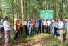 các tổ khuyến nông cộng đồng tham quan mô hình trồng rừng gỗ lớn