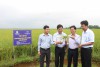 Mô hình sản xuất lúa hữu cơ liên kết tiêu thụ sản phẩm tại HTX Tiên Mỹ, xã Vĩnh Lâm, huyện Vĩnh Linh do Trung tâm Khuyến nông tỉnh và Công ty Cổ phần Tổng công ty Thương mại Quảng Trị phối hợp triển khai