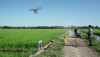 Sử dụng máy bay không người lái (UAV) trong phòng trừ dịch hại cây trồng