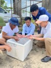 Thả giống mô hình cá ngạnh thương phẩm tại xã Quảng Ninh