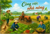 Công việc nhà nông tháng 7/2026