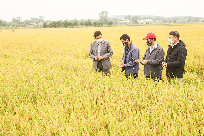 Tập trung lãnh đạo hoàn thành xuất sắc nhiệm vụ tái cơ cấu ngành Nông nghiệp gắn với xây dựng nông thôn mới