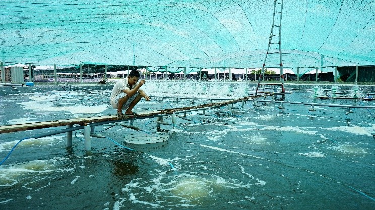 KHỐNG CHẾ DỊCH BỆNH TRÊN TÔM NUÔI