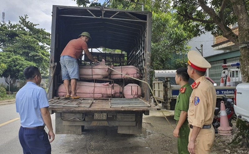 CÔNG TÁC THỰC HIỆN KIỂM DỊCH ĐỘNG VẬT, SẢN PHẨM ĐỘNG VẬT VẬN CHUYỂN RA KHỎI ĐỊA BÀN TỈNH QUẢNG TRỊ