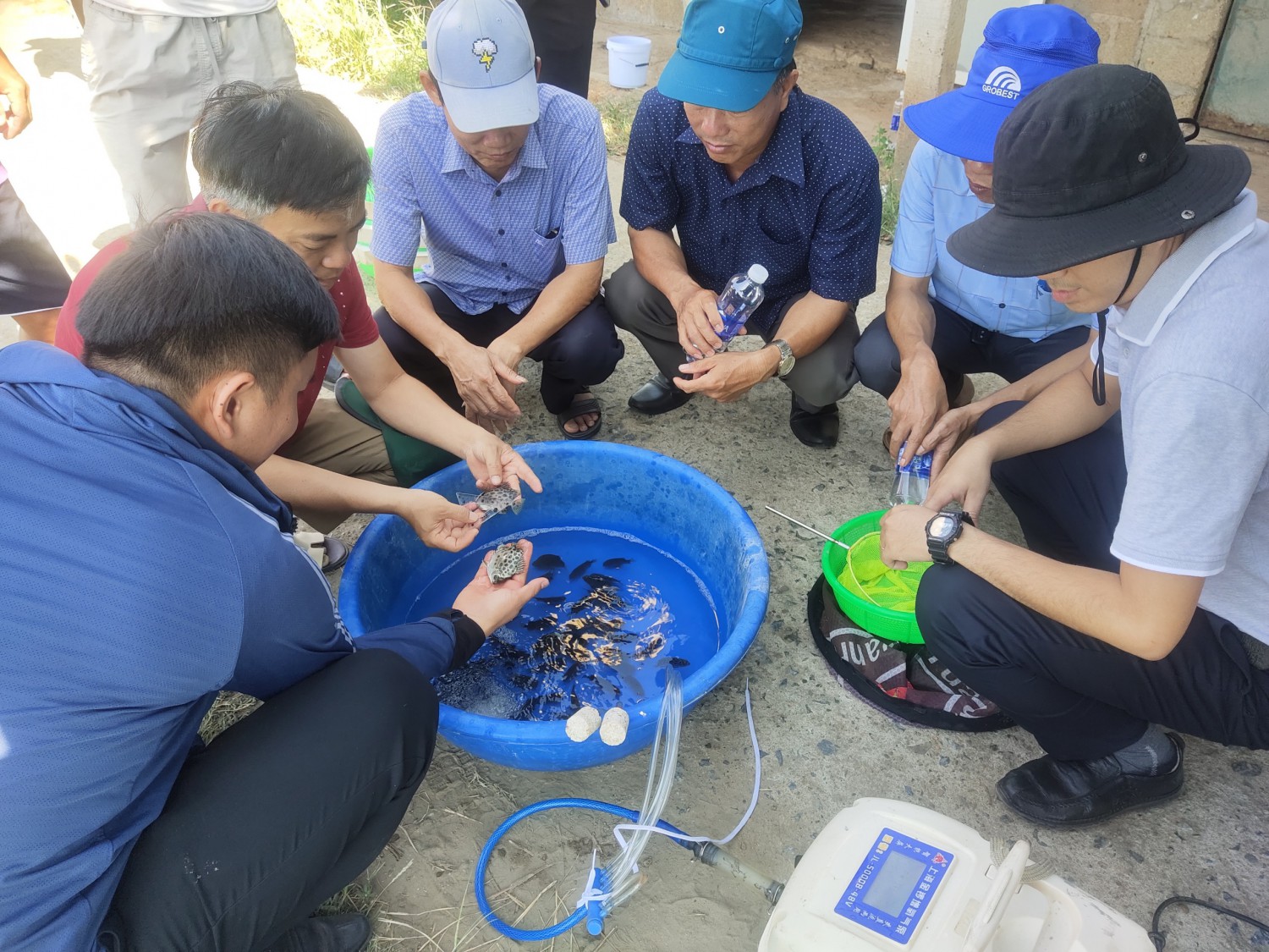 Trang nông nghiệp ngày 25-6-2024