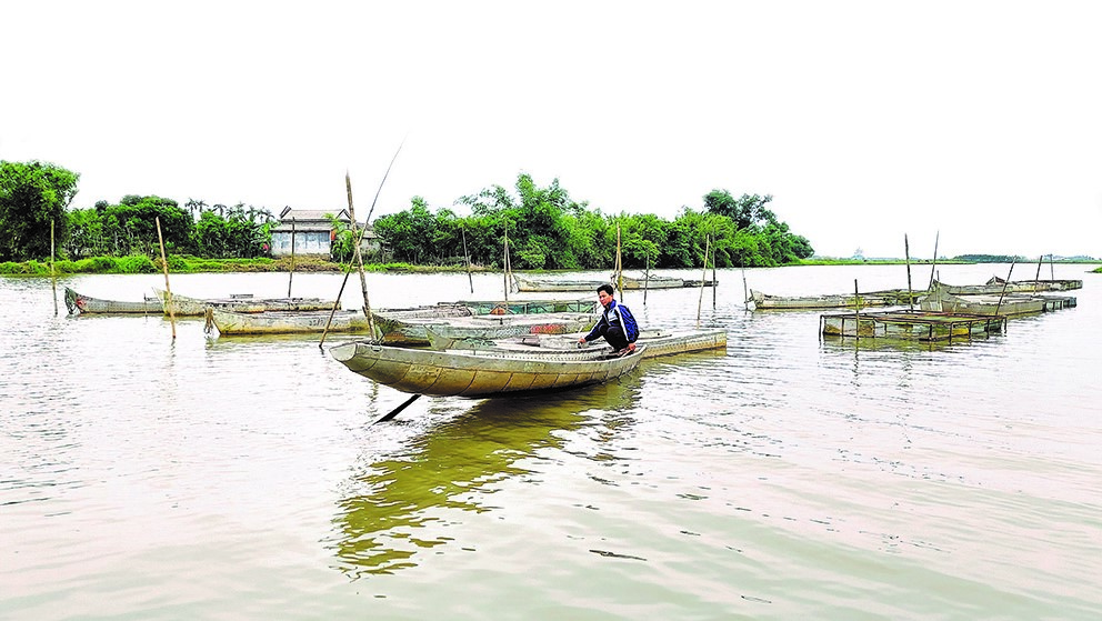 PHÒNG TRỊ MỘT SỐ BỆNH THƯỜNG HAY XẢY RA Ở CÁ CHÌNH NUÔI TRONG LỒNG