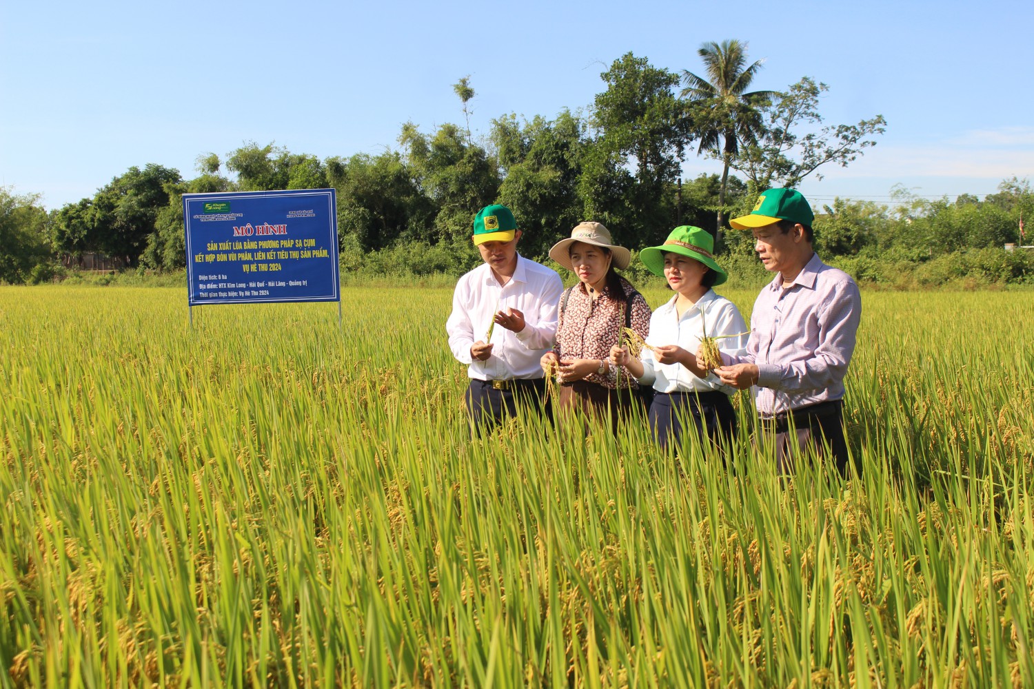 CÔNG NGHỆ SẠ CỤM KẾT HỢP BÓN VÙI PHÂN - CƠ GIỚI HÓA TRONG SẢN XUẤT LÚA