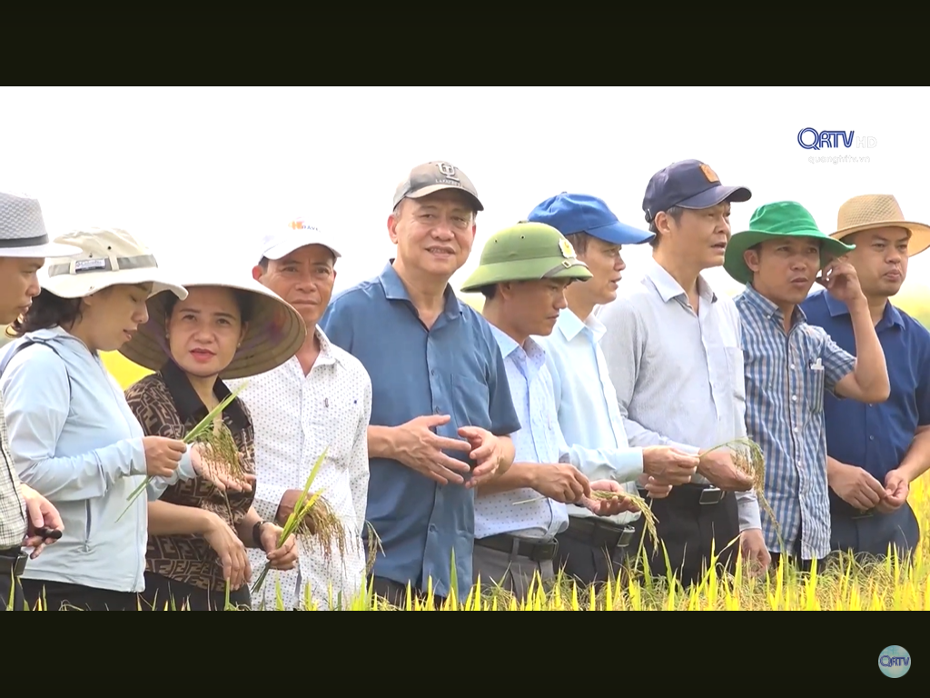 Trang nông nghiệp ngày 13-8-2024