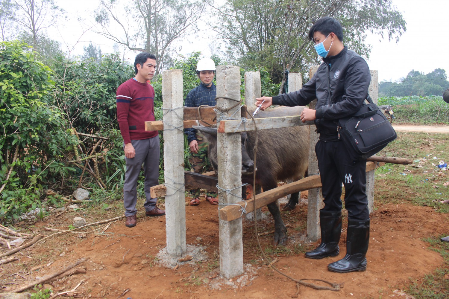 NHỮNG VIỆC CẦN LÀM TRONG THÁNG 10/2024