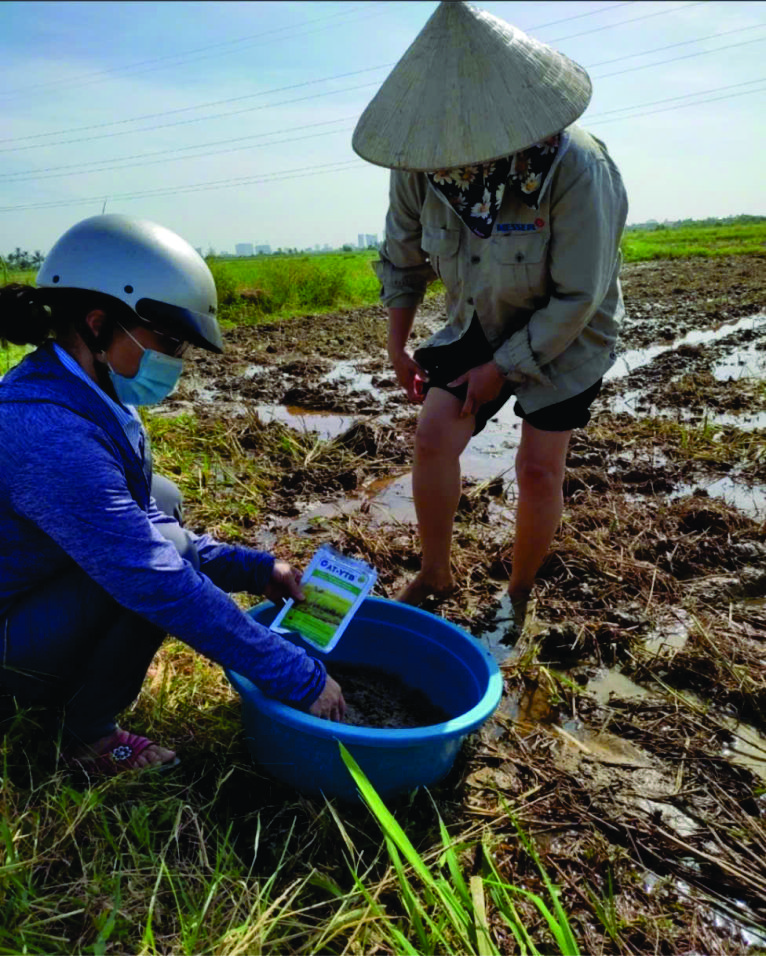 Sử dụng chế phẩm sinh học xử lý cỏ rác trên đất sau bồi lấp do lũ