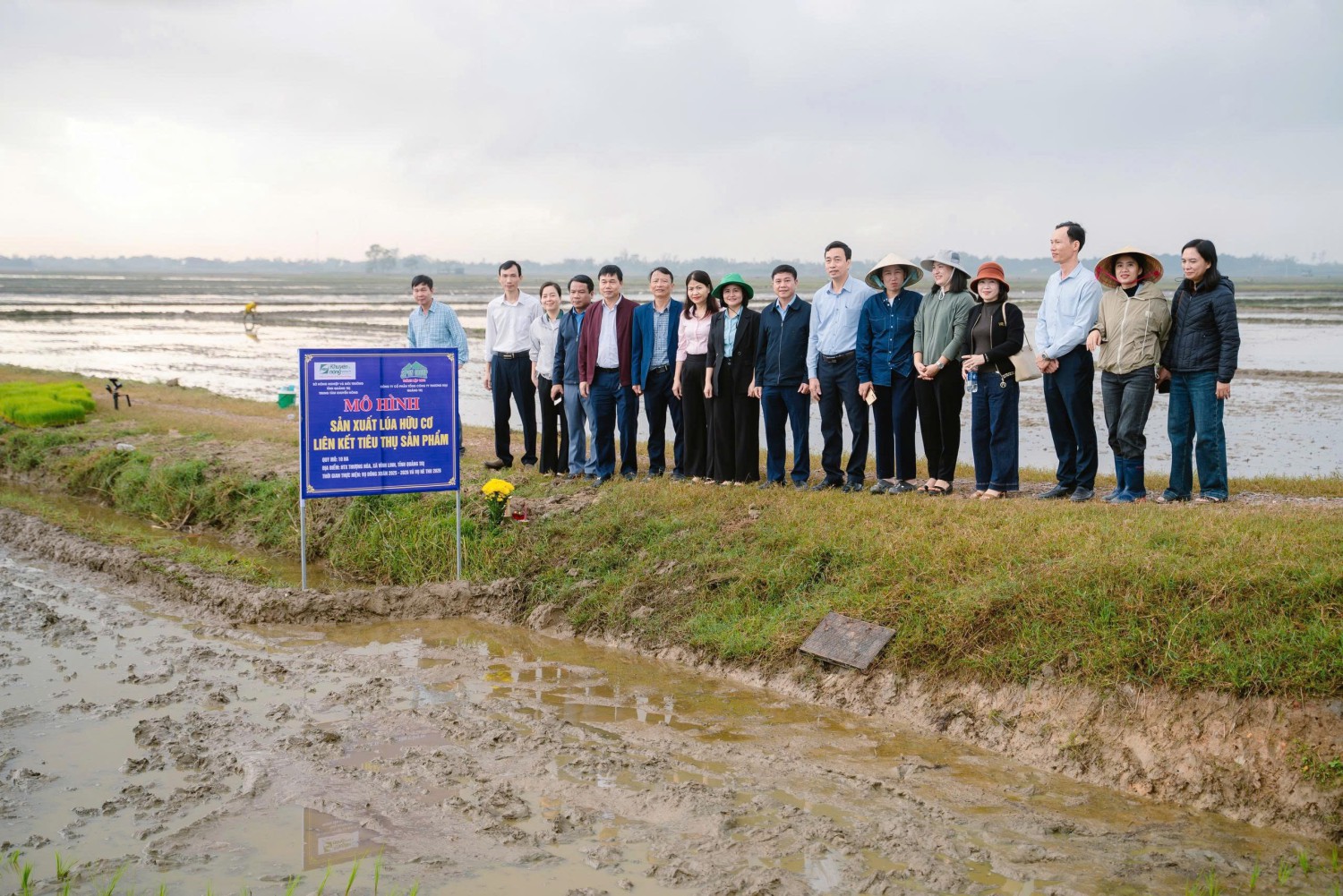 Mô hình sản xuất lúa hữu cơ tại HTX nông nghiệp Thượng Hòa, xã Vĩnh Linh
