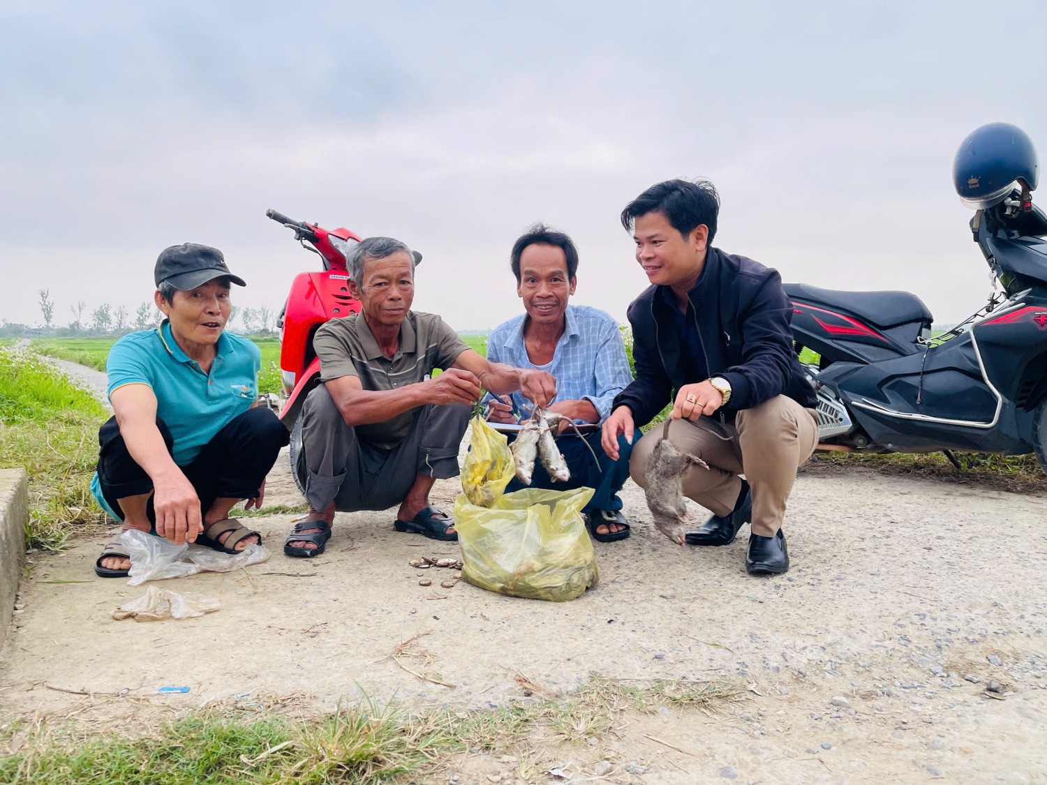 HTX tổ chức thu gom chuột các hộ dân