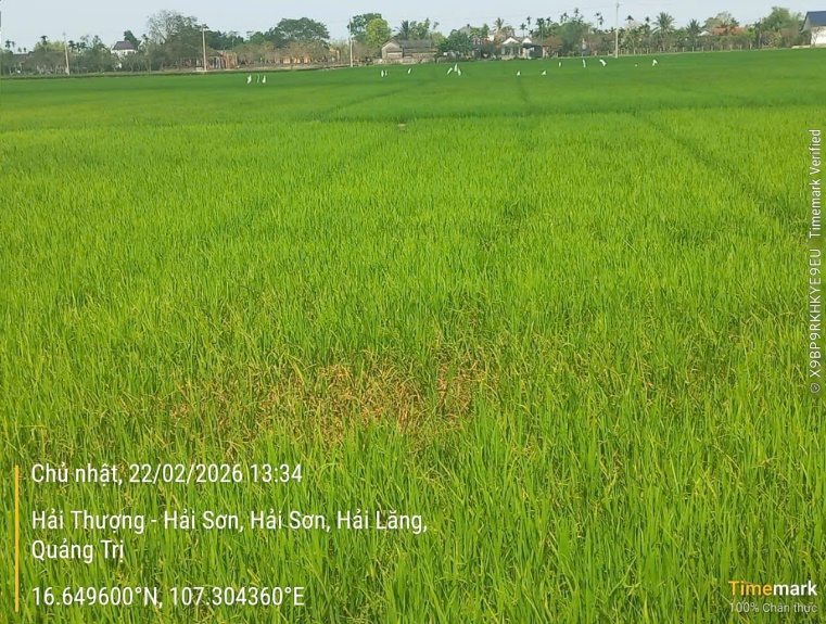 image 20260224135755 2