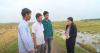 trang-nong-nghiep-ngay-24-5-2022