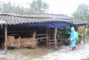 trang nông nghiệp ngày 12/01/2021