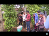 trang nông nghiệp ngày 01/12/2020