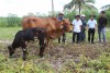 trang nông nghiệp ngày 16/02/2021