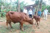 trang nông nghiệp ngày 16/03/2021