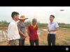 trang nông nghiệp ngày 09/03/2021