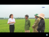 trang nông nghiệp ngày 30/03/2021