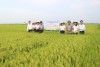 trang nông nghiệp ngày 27/04/2021