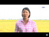 trang nông nghiệp ngày 25/05/2021