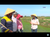 trang nông nghiệp ngày 08/06/2021