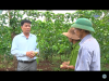 trang nông nghiệp ngày 22/06/2021