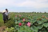 trang nông nghiệp ngày 10/08/2021