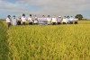trang nông nghiệp ngày 24/08/2021