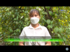 Trang nông nghiệp ngày 21/09/2021