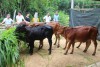 Trang nông nghiệp ngày 14/12/2021