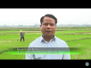 Trang nông nghiệp ngày 18/01/2022
