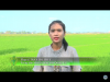 Trang nông nghiệp ngày 15/02/2022