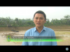 Trang nông nghiệp ngày 08/03/2022