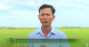 trang-nong-nghiep-ngay-12-07-2022
