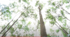 trang-nong-nghiep-ngay-23-8-2022