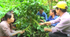 trang-nong-nghiep-ngay-30-8-2022