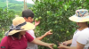 Capture2
