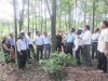 Đánh giá hiệu quả rừng FSC ở HTX dịch vụ sản xuất nông nghiệp Phú Hưng, xã Hải Phú