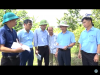 Trang nông nghiệp ngày 10-9-2024