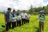 TRỒNG RỪNG GỖ LỚN VÀ CHUYỂN HÓA RỪNG GỖ NHỎ SANG RỪNG GỖ LỚN ĐANG TRỞ THÀNH HƯỚNG PHÁT TRIỂN BỀN VỮNG TRONG LĨNH VỰC LÂM NGHIỆP CỦA TỈNH QUẢNG TRỊ