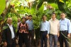 Trang nông nghiệp ngày 12-11-2024