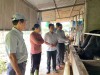 ĐẨY MẠNH PHÁT TRIỂN NUÔI BÒ THÂM CANH, XÂY DỰNG MÔ HÌNH NÔNG NGHIỆP TUẦN HOÀN, PHÁT TRIỂN BỀN VỮNG