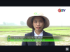 Trang nông nghiệp ngày 21-01-2025