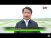 Trang nông nghiệp ngày 18-02-2025