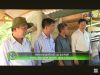 Trang nông nghiệp ngày 25-02-2025